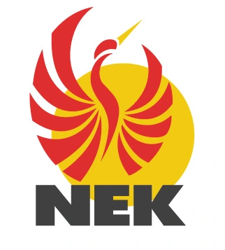 Logo de l'équipe Nueki.